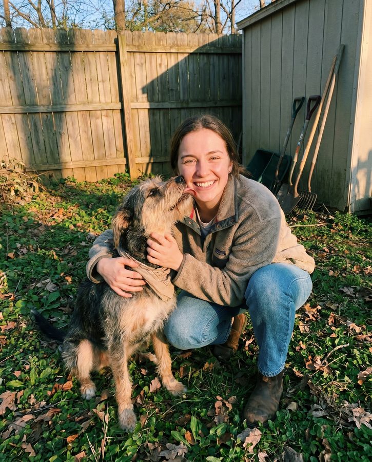 A rescue dog protected with WildRoot